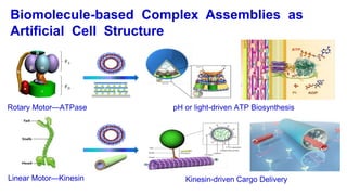 Biomolecule-based Complex Assemblies as
Artificial Cell Structure
pH or light-driven ATP BiosynthesisRotary Motor—ATPase
L...