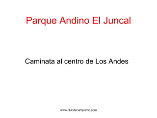Parque Andino El Juncal ,[object Object],www.clubdecampismo.com 