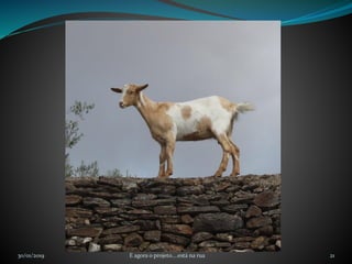 30/01/2019 E agora o projeto....está na rua 21
 