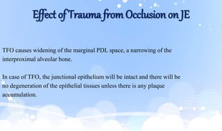 Effect of Trauma from Occlusion on JE
TFO causes widening of the marginal PDL space, a narrowing of the
interproximal alveolar bone.
In case of TFO, the junctional epithelium will be intact and there will be
no degeneration of the epithelial tissues unless there is any plaque
accumulation.
 