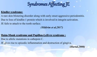 Syndromes Affecting JE
Kindler syndrome:
A rare skin blistering disorder along with early onset aggressive periodontitis.
Due to loss of kindlin-1 protein which is involved in integrin activation.
JE fails to attach to the tooth surface.
(Yildirim et al,2017)
Haim-Munk syndrome and Papillon-Lefèvre syndrome :
Due to allelic mutations in cathepsin C.
JE gives rise to episodic inflammation and destruction of gingiva.
(Hartal,2000)
 