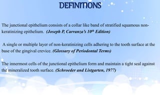 DEFINITIONS
The junctional epithelium consists of a collar like band of stratified squamous non-
keratinizing epithelium. (Joseph P, Carranza’s 10th Edition)
A single or multiple layer of non-keratinizing cells adhering to the tooth surface at the
base of the gingival crevice. (Glossary of Periodontal Terms)
The innermost cells of the junctional epithelium form and maintain a tight seal against
the mineralized tooth surface. (Schroeder and Listgarten, 1977)
 