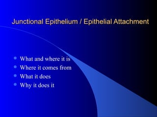 Junctional Epithelium / Epithelial AttachmentJunctional Epithelium / Epithelial Attachment
 What and where it is
 Where it comes from
 What it does
 Why it does it
 