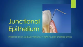 Junctional
Epithelium
PRESENTED BY DR. SUNDARA VIKRAM B, 1ST YEAR PG, DEPT OF PERIODONTICS
 