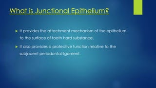 What is Junctional Epithelium?
 It provides the attachment mechanism of the epithelium
to the surface of tooth hard substance.
 It also provides a protective function relative to the
subjacent periodontal ligament.
 