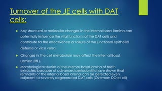 Turnover of the JE cells with DAT
cells:
 Any structural or molecular changes in the internal basal lamina can
potentially influence the vital functions of the DAT cells and
contribute to the effectiveness or failure of the junctional epithelial
defense or vice versa.
 Changes in the cell metabolism may affect the Internal Basal
Lamina (IBL).
 Morphological studies of the internal basal lamina of teeth
extracted because of advanced periodontitis have shown that
remnants of the internal basal lamina can be detected even
adjacent to severely degenerated DAT cells (Overman DO et all)
 