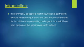 Introduction:
 It is commonly accepted that the junctional epithelium
exhibits several unique structural and functional features
that contribute to preventing pathogenic bacterial flora
from colonizing the subgingival tooth surface
 