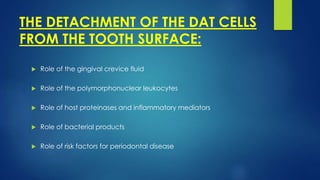 THE DETACHMENT OF THE DAT CELLS
FROM THE TOOTH SURFACE:
 Role of the gingival crevice fluid
 Role of the polymorphonuclear leukocytes
 Role of host proteinases and inflammatory mediators
 Role of bacterial products
 Role of risk factors for periodontal disease
 