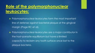 Role of the polymorphonuclear
leukocytes:
 Polymorphonuclear leukocytes form the most important
line of defense against bacterial plaque at the gingival
margin (Page RC et al).
 Polymorphonuclear leukocytes are a major contributor in
the host–parasite equilibrium but have a limited
capacity to reclaim any tooth surface once lost to the
plaque bacteria.
 