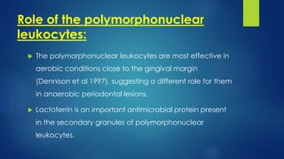 Role of the polymorphonuclear
leukocytes:
 The polymorphonuclear leukocytes are most effective in
aerobic conditions close to the gingival margin
(Dennison et al 1997), suggesting a different role for them
in anaerobic periodontal lesions.
 Lactoferrin is an important antimicrobial protein present
in the secondary granules of polymorphonuclear
leukocytes.
 