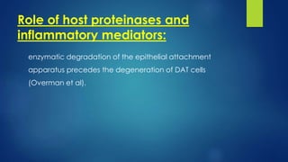 Role of host proteinases and
inflammatory mediators:
enzymatic degradation of the epithelial attachment
apparatus precedes the degeneration of DAT cells
(Overman et al).
 