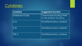 Cytokines:
Cytokine Suggested function
Interleukin 8 (IL8) Chemotaxis-Guiding PMN
to the bottom of sulcus
IL1α Proinflammatory cytokine
IL1β Proinflammatory cytokine
TNF α Proinflammatory cytokine
 