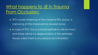 What happens to JE in Trauma
From Occlusion:
 TFO causes widening of the marginal PDL space, a
narrowing of the interproximal alveolar bone.
 In case of TFO, the junctional epithelium will be intact
and there will be no degeneration of the epithelial
tissues unless there is any plaque accumulation.
 