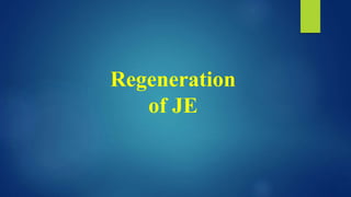 Regeneration
of JE
 