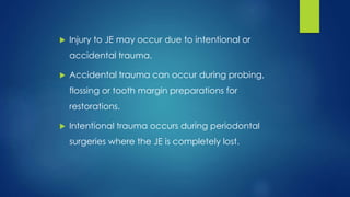  Injury to JE may occur due to intentional or
accidental trauma.
 Accidental trauma can occur during probing,
flossing or tooth margin preparations for
restorations.
 Intentional trauma occurs during periodontal
surgeries where the JE is completely lost.
 