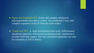  Taylor and Campbell 1972: A new and complete attachment
indistinguishable from that in control was established 5 days after
complete separation of the JE from the tooth surface.
 Frank et al 1972: A study demonstrated that newly differentiated
attachment apparatus with normal hemidesmosomal attachment is
possible following surgery. This new attachment apparatus was seen
on cementum as well as dentin.
 