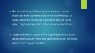  The junctional epithelium around implants always
originates from epithelial cells of the oral mucosa, as
opposed to the junctional epithelium around teeth
which originates from the reduced enamel epithelium.
 Despite different origins of the 2 epithelia, a functional
adaptation occurs when oral epithelia form an epithelial
attachment around implants.
 