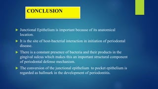 CONCLUSION
 Junctional Epithelium is important because of its anatomical
location.
 It is the site of host-bacterial interaction in initiation of periodontal
disease.
 There is a constant presence of bacteria and their products in the
gingival sulcus which makes this an important structural component
of periodontal defense mechanism.
 The conversion of the junctional epithelium to pocket epithelium is
regarded as hallmark in the development of periodontitis.
 