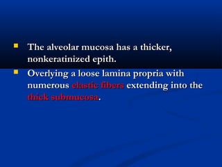 The alveolar mucosa has a thicker,The alveolar mucosa has a thicker,
nonkeratinized epith.nonkeratinized epith.
 Overlying a loose lamina propria withOverlying a loose lamina propria with
numerousnumerous elastic fiberselastic fibers extending into theextending into the
thick submucosathick submucosa..
 