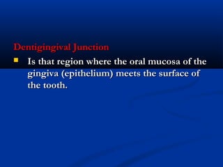 Dentigingival JunctionDentigingival Junction
 Is that region where the oral mucosa of theIs that region where the oral mucosa of the
gingiva (epithelium) meets the surface ofgingiva (epithelium) meets the surface of
the tooth.the tooth.
 