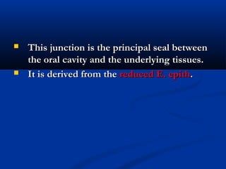  This junction is the principal seal betweenThis junction is the principal seal between
the oral cavity and the underlying tissues.the oral cavity and the underlying tissues.
 It is derived from theIt is derived from the reduced E. epithreduced E. epith..
 