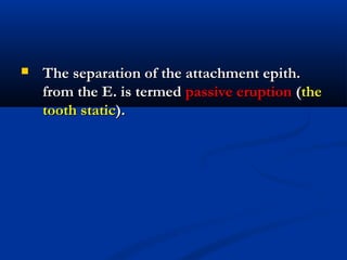  The separation of the attachment epith.The separation of the attachment epith.
from the E. is termedfrom the E. is termed passive eruptionpassive eruption ((thethe
tooth statictooth static).).
 