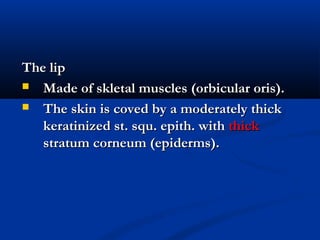 The lipThe lip
 Made of skletal muscles (orbicular oris).Made of skletal muscles (orbicular oris).
 The skin is coved by a moderately thickThe skin is coved by a moderately thick
keratinized st. squ. epith. withkeratinized st. squ. epith. with thickthick
stratum corneum (epiderms).stratum corneum (epiderms).
 