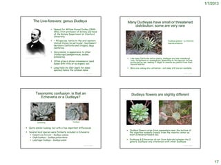 1/7/2013



                         The Live-forevers: genus Dudleya                                                           Many Dudleyas have small or threatened
                                                                                                                        distribution: some are very rare
                                                                    Named for William Russel Dudley (1849-
                                                                     1911), first professor of botany and head
                                                                     of the Botany Department at Stanford
                                                                     University
                                                                    ~ 40 species; native to the arid western                                                    Dudleya greenii – a Channel
                                                                     United States (in particular, Southwest/                                                    Islands endemic
                                                                     Northern California and Oregon), Baja
                                                                     California.
                                                                    Very similar in appearance to other
                                                                     Stonecrops (sempervivum; sedum;
                                                                     echeveria).
                                                                                                                        Like many California native plants, dudleyas are now considered
http://commons.wikimedia.org/wiki/File:William_Rus
sell_Dudley_(1849-1911).jpg                                                                                         
                                                                    Often grow in stone crevasses or sand              rare, threatened or endangered, depending on the species. All are
                                                                                                                        protected by law, making it illegal to remove any plants from their
                                                                     dunes with little or no organic soil.              natural habitat.
                                                                    Long-lived (to 100+ years for some                More are coming into cultivation – but many still are not available
                                                                     species) hence the common name
                                                                                                  © Project SOUND                                                                 © Project SOUND




                                Taxonomic confusion: is that an                                                          Dudleya flowers are slightly different
                                   Echeveria or a Dudleya?




                    http://www.collectorscorner.com.au/Cacti/Echeveri
                    a%20main.htm

                                      Echeveria                                        Dudleya


     Quite similar-looking; but with a few important differences
                                                                                                                     Dudleya flowers arise from somewhere near the bottom of
     Several local species were formerly included in Echeveria:                                                      the rosettes normally (rarely from the rosette center as
        Canyon Live-forever – Dudleya cymosa                                                                         most Echeveria flowers do).
        Chalk Dudleya – Dudleya pulverulenta
        Ladyfinger Dudleya – Dudleya edulis                                                                         Dudleyas & Echeverias do not form hybrids between the 2
                                                                                                                      genera; Dudleyas only interbreed with other Dudleyas
                                                                                                  © Project SOUND                                                                 © Project SOUND




                                                                                                                                                                                                         17
 
