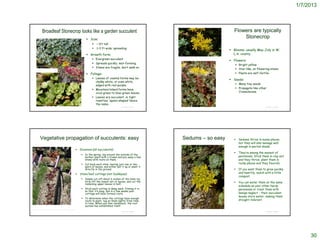 1/7/2013



             Broadleaf Stonecrop looks like a garden succulent                                                                                                                 Flowers are typically
                                                                              Size:
                                                                                                                                                                                   Stonecrop
                                                                                 < 1ft tall
                                                                                     1-3 ft wide; spreading
                                                                                                                                                                             Blooms: usually May-July in W.
                                                                              Growth form:                                                                                   L.A. county.
                                                                                   Evergreen succulent
                                                                                                                               Gary A. Monroe @ USDA-NRCS PLANTS Database

                                                                                                                                                                             Flowers:
                                                                                   Spreads quickly; mat-forming
                                                                                                                                                                                Bright yellow
                                                                                   Stems are fragile; don’t walk on
      © 2007 Neal Kramer

                                                                                                                                                                                Star-like, on flowering stems
                                                                              Foliage:                                                                                         Plants are self-fertile
                                                                                   Leaves of coastal forms may be                                                           Seeds:
                                                                                    chalky white, or even white
                                                                                    edged with red-purple.                                                                      Many tiny seeds
                                                                                   Mountain/inland forms have                                                                  Propagate like other
                                                                                    vivid-green to blue-green leaves.                                                            Crassulaceae
                                                                                   Leaves are succulent, in tight
                                                                                    rosettes; ‘spoon-shaped’ hence
                                                                                    the name..
                                                                                                           © Project SOUND                                                                              © Project SOUND




          Vegetative propagation of succulents: easy                                                                             Sedums – so easy                                 Sedums thrive in sunny places,
                                                                                                                                                                                   but they will also manage well
                                                                                                                                                                                   enough in partial shade.
                                                                       Divisions (all succulents):
                                                                                                                                                                                  They’re among the easiest of
                                                                          In the spring, dig around the outside of the
                                                                           mother plant with a trowel and pry away a few                                                           perennials. Stick them in clay soil
                                                                           stems with roots on them.                                                                               and they thrive, plant them in
                                                                          Cut back each stem, leaving just one or two                                                             rocky places and they flourish.
                                                                           pairs of leaves, and either pot it up or plant it
                                                                           directly in the ground.                                                                                If you want them to grow quickly
                                                                       Stem/leaf cuttings (not Dudleyas):                                                                         and heartily, mulch with a little
                                                                                                                                                                                   compost.
                                                                          Simply cut off about 6 inches of the stem tip,
                                                                           strip off the lowest set of leaves, and cut the                                                        You can water them on the same
                                                                           remaining upper leaves in half.
                                                                                                                                                                                   schedule as your other hardy
                                                                          Stick each cutting in damp sand, firming it in                                                          perennials or treat them with
                                                                           so that it’s snug, and in a few weeks your
                                                                           cuttings will have formed roots.                                                                        benign neglect - their succulent
                                                                                                                                                                                   leaves store water, making them
                                                                          To determine when the cuttings have enough
                                                                           roots to plant, tug on them lightly from time                                                           drought-tolerant.
http://www.cactuscenter.com/Sedum%20reflexum.jpg
                                                                           to time. When you feel resistance, the root
                                                                           system has established itself.
                                                                                                                                 © 2007 Neal Kramer
http://www.flickr.com/photos/vsny/128010334/in/set-72057594106082534/
                                                                                                           © Project SOUND                                                                              © Project SOUND




                                                                                                                                                                                                                               30
 