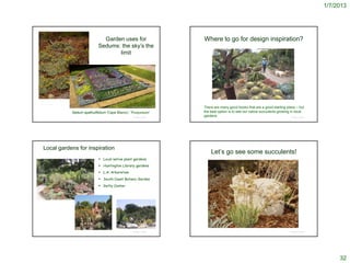 1/7/2013




                                                                    Garden uses for                                             Where to go for design inspiration?
                                                                  Sedums: the sky’s the
                                                                         limit




    © 2004, Ben Legler
                                                                                     http://www.succulent-plant.com/tufa.html
                                                                                                                                There are many good books that are a good starting place – but
                                                   Sedum spathulifolium 'Cape Blanco’, 'Purpureum'                              the best option is to see our native succulents growing in local
                                                                                            © Project SOUND
                                                                                                                                gardens                                                  © Project SOUND




        Local gardens for inspiration
                                                                                                                                     Let’s go see some succulents!
                                                                    Local native plant gardens
                                                                    Huntington Library gardens
                                                                    L.A. Arboretum
                                                                    South Coast Botanic Garden
                                                                    Getty Center


http://www.hotgardens.net/succulent_cactus_gallery.htm




                                                                                            © Project SOUND                                                                                   © Project SOUND




                                                                                                                                                                                                                     32
 