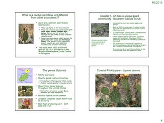 1/7/2013



What is a cactus (and how is it different                                             Coastal S. CA has a unique plant
        from other succulents)?                                                      community : Southern Cactus Scrub
             Cacti are a distinct plant family                                                                           Dominated by cacti and coastal sage scrub
              (Cactaceae).                                                                                                 species.

                They are plants of hot environments                                                                      Must be 20% or more cover of coastal prickly-
                                                                                                                           pear (Opuntia littoralis) and/or Oracle cactus
                They are perennial succulent plants with                                                                  (Opuntia oricola).
                 thick stems usually covered with
                 spines. Spines are not all over the                                                                      In coastal areas, coastal cholla (Cylindropuntia/
                 surface but are borne in felty cushions                                                                   Opuntia prolifera) may be a common
                 called areoles.                                                                                          Other common species CA Encelia, California
                Sometimes mistakenly called leaves, the                                                                   sagebrush, buckwheat, black sage (Salvia
                                                                http://www.flickr.com/photos/liamkestrel/3383069515/



                 joints of prickly pears are flattened          You can use the Cactus                                     mellifera), and Mexican elderberry (Sambucus
                 stems. True leaves, if not completely                                                                     mexicana).
                                                                Scrub community as
                 absent, usually are very small and             inspiration for your                                      The understory is frequently composed of
                 inconspicuous and soon fall away.                                                                         foothill needlegrass, bent grass (Agrostis spp.),
                                                                garden
                                                                                                                           and a variety of herbaceous forb species.
             The more than 1500 different
              species of cacti are native to the                                                                          Occurs primarily on south-facing slopes on low
                                                                                                                           foothills away from the immediate coast.
              Western Hemisphere, from Canada
              to Patagonia.
                                              © Project SOUND                                                                                                © Project SOUND




                    The genus Optuntia                                           Coastal Prickly-pear - Opuntia littoralis
             Family: Cactaceae
             Opuntia genus has two branches
                Prickly Pears "Platyopuntia" (flat joints)
                Chollas "Cylindropuntia" (rounded joints)
             About three dozen species
              throughout the United States
                Native to every state except Maine,
                 Vermont and New Hampshire
             Natural hybridization common
             Lifespan <20 years (most short-lived
              of all cacti)
             Main food producing cacti - both
              pads and fruit.
                                                                                © 2002 Lynn Watson
                                              © Project SOUND                                                                                                © Project SOUND




                                                                                                                                                                                     4
 