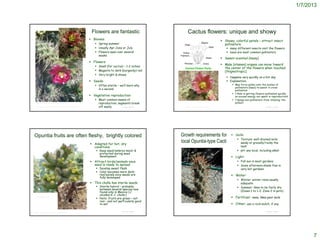 1/7/2013



                                                                              Flowers are fantastic                           Cactus flowers: unique and showy
                                                                              Blooms:                                                                                        Showy, colorful petals – attract insect
                                                                                 Spring-summer                                                                                pollinators;
                                                                                 Usually Apr-June or July                                                                       many different insects visit the flowers
                                                                                 Flowers open over several                                                                      bees are most common pollinators
                                                                                  weeks
                                                                                                                                                                              Sweet-scented (many)
                                                                              Flowers:
                                                                                                                                                                              Male (stamen) organs can move toward
                                                                                 Small (for cactus) – 1-2 inches
                                                                                                                                                                               the center of the flowers when touched
                                                                                 Magenta to dark (burgandy) red                                                               (thigmotropic).
                                                                                 Very bright & showy
                                                                                                                                                                                 Happens very quickly on a hot day
                                                                              Seeds:                                                                                            Explanation:
                                                                                 Often sterile – we’ll learn why                                                                    May force pollen onto the bodies of
                                                                                                                                                                                      pollinators (bees) to assist in cross
                                                                                  in a second                                                                                         pollination
                                                                                                                                                                                     ? Role in getting flowers pollinated quickly
                                                                              Vegetative reproduction:                                                                               so excess energy not spent in reproduction?
                                                                                 Most common means of                                                                               ? keeps non-pollinators from ‘stealing’ the
   http://www.calflora.net/bloomingplants/coastcholla.html                        reproduction; segments break                                                                        pollen?
 http://www.researchlearningcenter.com/bloom/species/Opuntia_prolifera.htm        off easily       © Project SOUND        http://www.timetotrack.com/jay/chollac2.htm                                          © Project SOUND




Opuntia fruits are often fleshy, brightly colored                                                                     Growth requirements for                                        Soils:
                                                                                                                                                                                         Texture: well-drained soils;
                                                                              Adapted for hot, dry
                                                                                                                      local Opuntia-type Cacti                                            sandy or gravelly/rocky the
                                                                               conditions                                                                                                 best
                                                                                  Keep seed/embryo moist &                                                                              pH: any local, including alkali
                                                                                   protected during seed
                                                                                   development                                                                                       Light:
                                                                              Attract birds/animals once                                                                                Full sun in most gardens
                                                                               seed is ready to spread                                                                                   Some afternoon shade fine in
                                                                                  Develop sweet flesh                                                                                    very hot gardens
                                                                                  Color becomes more dark-
                                                                                   red/purple once seeds are                                                                         Water:
                                                                                   fully developed
                                                                                                                                                                                         Winter: winter rains usually
                                                                              This cholla has sterile seeds                                                                              adequate
                                                                                  Sterile hybrid – probably                                                                             Summer: likes to be fairly dry
                                                                                   between several species now
                                                                                   found only in Mexico (C.                                                                               (Zones 1 to 1-2; Zone 2 in pots)
                                                                                   alcahes X C. cholla )
   http://ucbglcs.blogspot.com/
                                                                                  Note: fruits are green – not                                                                      Fertilizer: none; likes poor soils
                                                                                   red – and not particularly good
                                                                                   to eat                             http://www.cactiguide.com/forum/viewtopic.php?t=6342           Other: use a rock mulch, if any

                                                                                                    © Project SOUND                                                                                            © Project SOUND
http://www.sanpedrorivervalley.org/old_road_byway.htm




                                                                                                                                                                                                                                           7
 