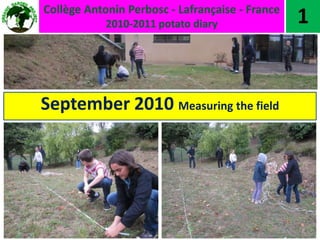 Collège Antonin Perbosc - Lafrançaise - France 2010-2011 potatodiary 1 September 2010 Measuring the field 