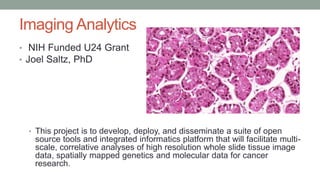 Imaging Analytics
• NIH Funded U24 Grant
• Joel Saltz, PhD
• This project is to develop, deploy, and disseminate a suite of open
source tools and integrated informatics platform that will facilitate multi-
scale, correlative analyses of high resolution whole slide tissue image
data, spatially mapped genetics and molecular data for cancer
research.
 