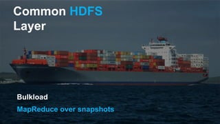 Common HDFS
Layer
Bulkload
MapReduce over snapshots
 