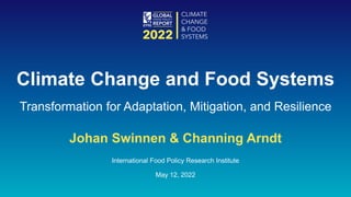 Johan Swinnen & Channing Arndt
International Food Policy Research Institute
May 12, 2022
Climate Change and Food Systems
Transformation for Adaptation, Mitigation, and Resilience
 