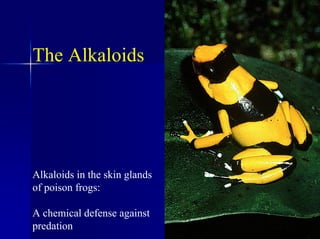 The Alkaloids
Alkaloids in the skin glands
of poison frogs:
A chemical defense against
predation
 