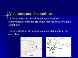 Alkaloids and Geopolitics
- Efforts underway to eradicate production of the
semisynthetic compound HEROIN (derived by acetylation of
Morphine)
- Also eradication of Cocaine, a natural alkaloid from the
coca plant
 