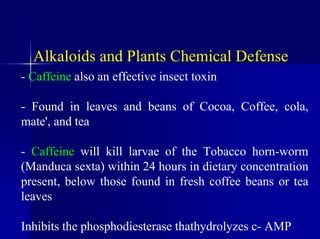 Alkaloids and Plants Chemical Defense
- Caffeine also an effective insect toxin
- Found in leaves and beans of Cocoa, Coffee, cola,
mate', and tea
- Caffeine will kill larvae of the Tobacco horn-worm
(Manduca sexta) within 24 hours in dietary concentration
present, below those found in fresh coffee beans or tea
leaves
Inhibits the phosphodiesterase thathydrolyzes c- AMP
 
