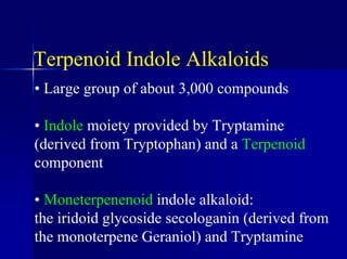 Terpenoid Indole Alkaloids
• Large group of about 3,000 compounds
• Indole moiety provided by Tryptamine
(derived from Tryptophan) and a Terpenoid
component
• Moneterpenenoid indole alkaloid:
the iridoid glycoside secologanin (derived from
the monoterpene Geraniol) and Tryptamine
 