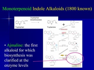 Monoterpenoid Indole Alkaloids (1800 known)
• Ajmaline: the first
alkaloid for which
biosynthesis was
clarified at the
enzyme levels
+
 