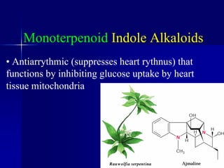 Monoterpenoid Indole Alkaloids
• Antiarrythmic (suppresses heart rythnus) that
functions by inhibiting glucose uptake by heart
tissue mitochondria
 