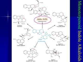 Monoterpenoid
Indole
Alkaloids
 