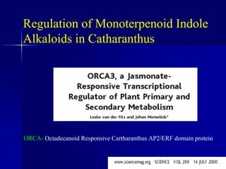 Regulation of Monoterpenoid Indole
Alkaloids in Catharanthus
ORCA- Octadecanoid Responsive Cartharanthus AP2/ERF domain protein
 