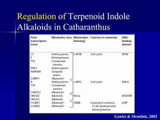 Regulation of Terpenoid Indole
Alkaloids in Catharanthus
Gantet & Memlink, 2002
 