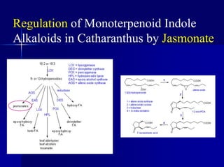 Regulation of Monoterpenoid Indole
Alkaloids in Catharanthus by Jasmonate
 