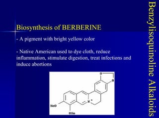 Benzylisoquinoline
Alkaloids
Biosynthesis of BERBERINE
- A pigment with bright yellow color
- Native American used to dye cloth, reduce
inflammation, stimulate digestion, treat infections and
induce abortions
 