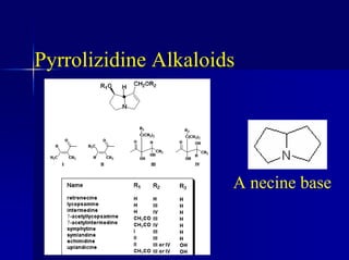 Pyrrolizidine Alkaloids
A necine base
 