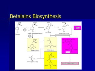 Betalains Biosynthesis
Betalains Biosynthesis
 