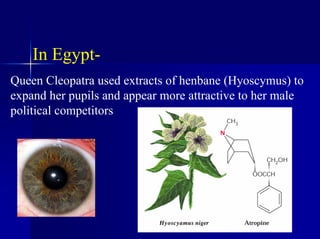 In Egypt-
Queen Cleopatra used extracts of henbane (Hyoscymus) to
expand her pupils and appear more attractive to her male
political competitors
 